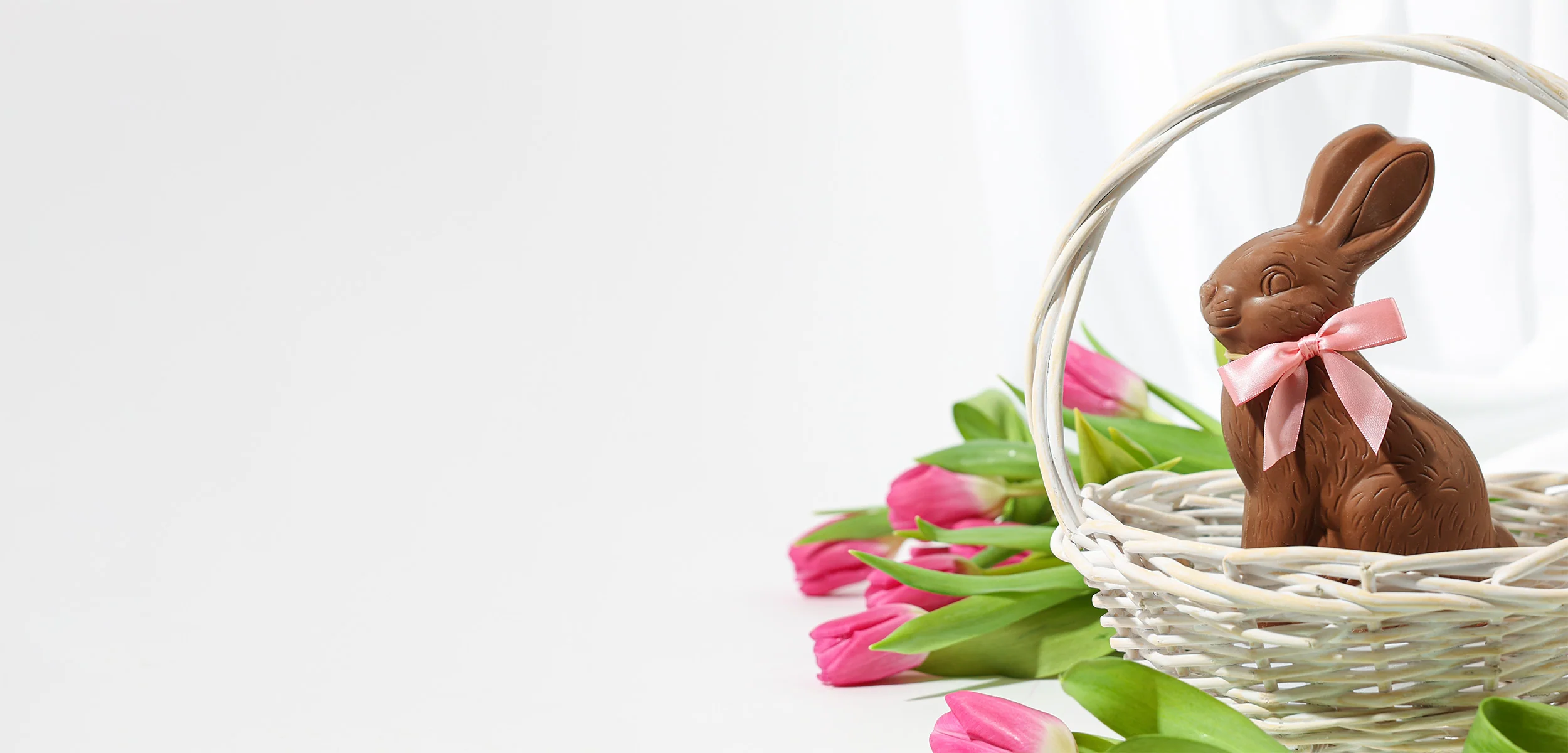 Indulge in Pure Chocolate Perfection